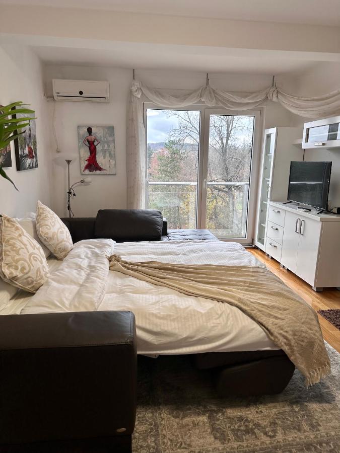 Apartman Floresta - In Front Of Japanese Garden, Enchanting Nature View, Spotless And Cozy Vrnjačka Banja 外观 照片
