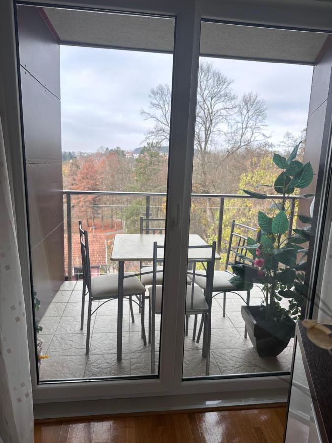 Apartman Floresta - In Front Of Japanese Garden, Enchanting Nature View, Spotless And Cozy Vrnjačka Banja 外观 照片