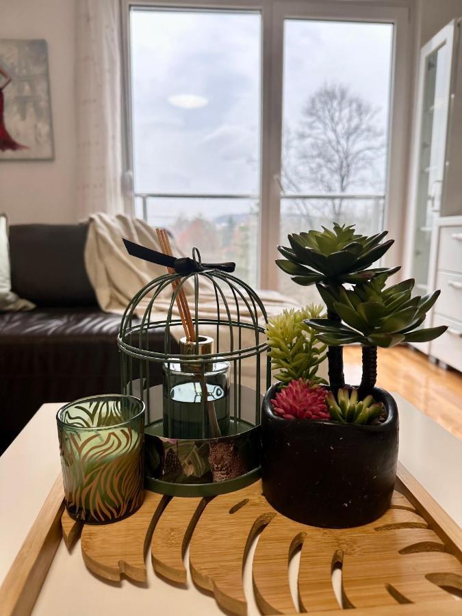 Apartman Floresta - In Front Of Japanese Garden, Enchanting Nature View, Spotless And Cozy Vrnjačka Banja 外观 照片